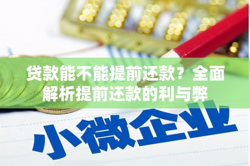 丽水贷款能不能提前还款？全面解析提前还款的利与弊