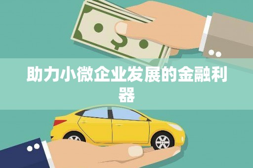 丽水助力小微企业发展的金融利器
