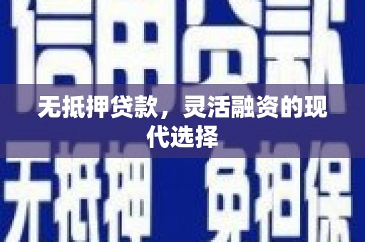 丽水无抵押贷款，灵活融资的现代选择