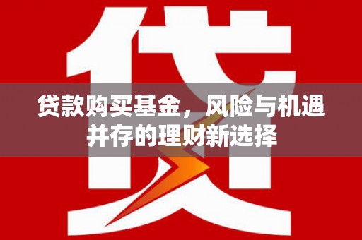 丽水贷款购买基金，风险与机遇并存的理财新选择