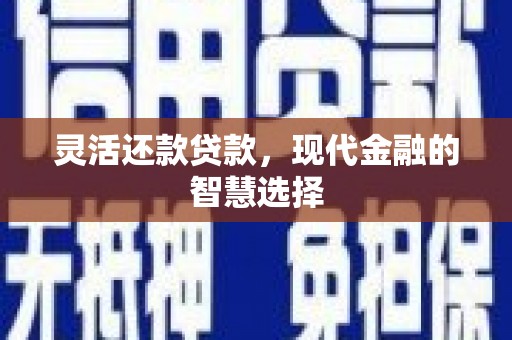 丽水灵活还款贷款，现代金融的智慧选择