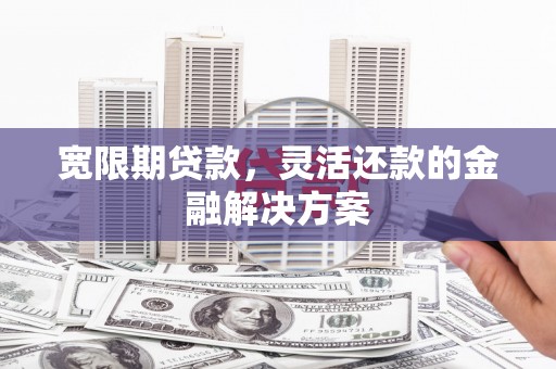 丽水宽限期贷款，灵活还款的金融解决方案