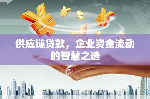 丽水供应链贷款，企业资金流动的智慧之选