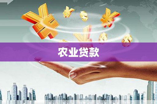 丽水农业贷款