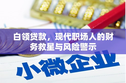 丽水白领贷款，现代职场人的财务救星与风险警示