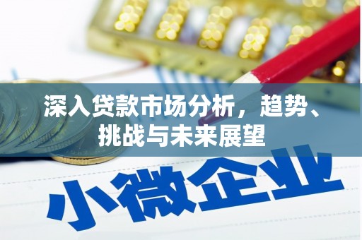 丽水深入贷款市场分析，趋势、挑战与未来展望