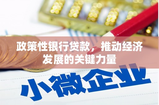 丽水政策性银行贷款，推动经济发展的关键力量
