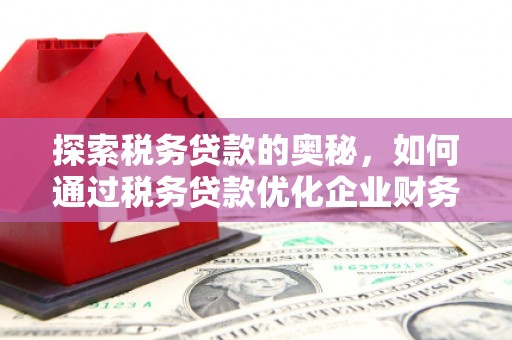 丽水探索税务贷款的奥秘，如何通过税务贷款优化企业财务