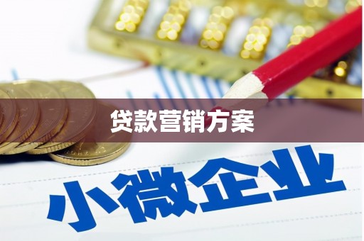 丽水贷款营销方案