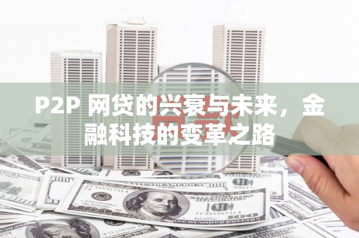 丽水P2P 网贷的兴衰与未来，金融科技的变革之路