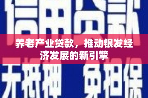 丽水养老产业贷款，推动银发经济发展的新引擎
