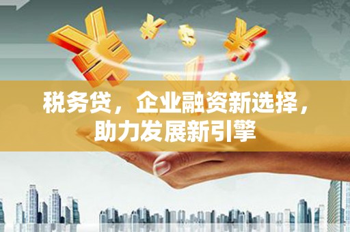 丽水税务贷，企业融资新选择，助力发展新引擎