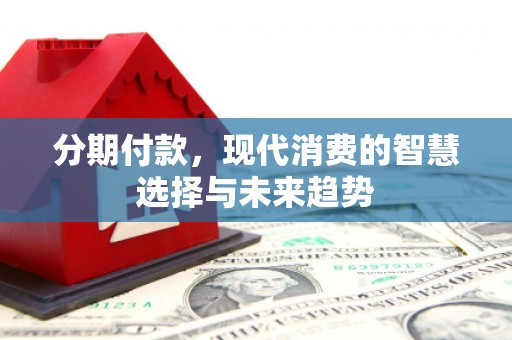 丽水分期付款，现代消费的智慧选择与未来趋势