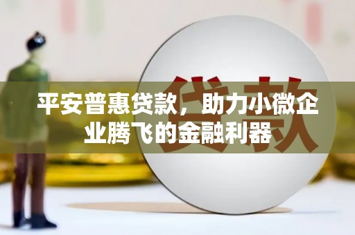 丽水平安普惠贷款，助力小微企业腾飞的金融利器