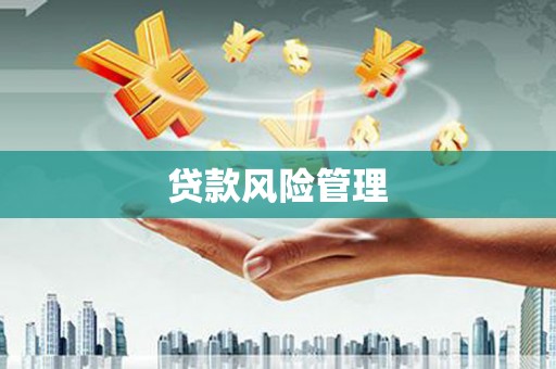 丽水贷款风险管理