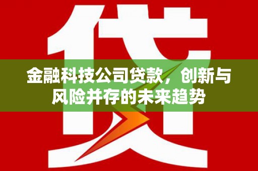 丽水金融科技公司贷款，创新与风险并存的未来趋势