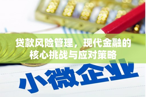 丽水贷款风险管理，现代金融的核心挑战与应对策略