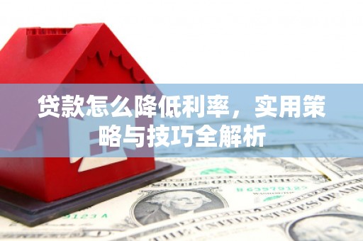 丽水贷款怎么降低利率，实用策略与技巧全解析