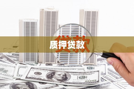 丽水质押贷款