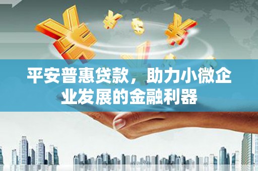 丽水平安普惠贷款，助力小微企业发展的金融利器