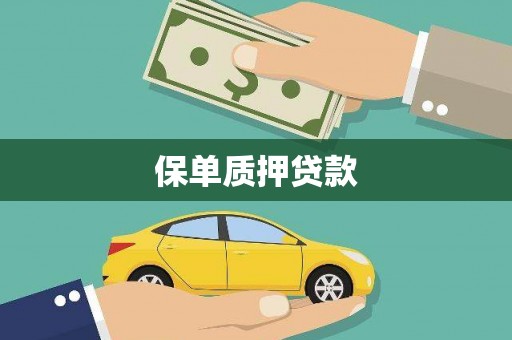 丽水保单质押贷款