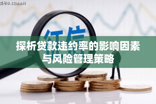 丽水探析贷款违约率的影响因素与风险管理策略