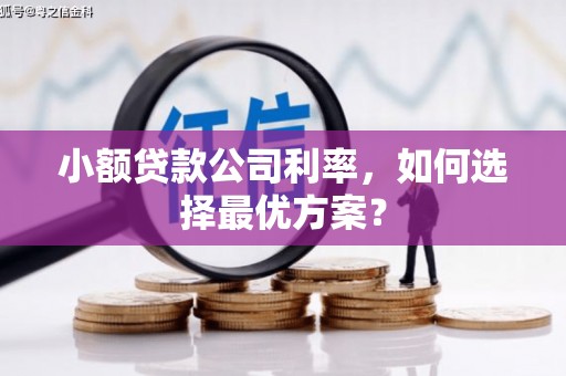 丽水小额贷款公司利率，如何选择最优方案？