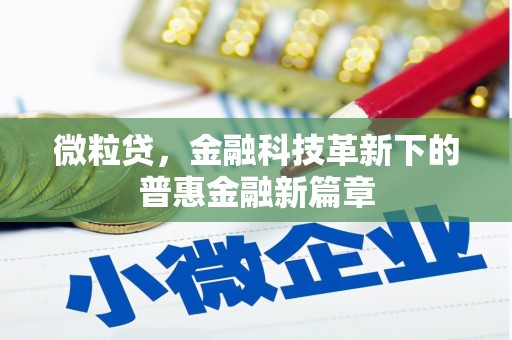 丽水微粒贷，金融科技革新下的普惠金融新篇章