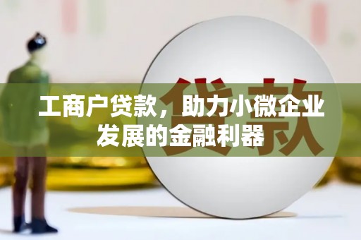 丽水工商户贷款，助力小微企业发展的金融利器