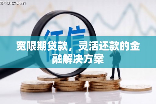 丽水宽限期贷款，灵活还款的金融解决方案