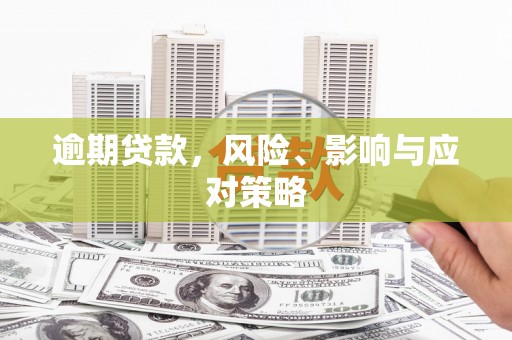丽水逾期贷款，风险、影响与应对策略