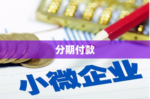 丽水分期付款