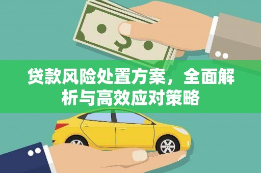 丽水贷款风险处置方案，全面解析与高效应对策略