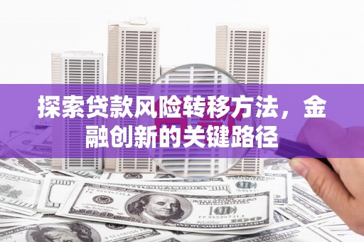 丽水探索贷款风险转移方法，金融创新的关键路径