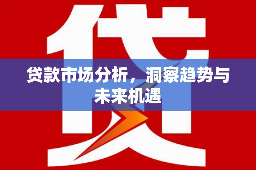 丽水贷款市场分析，洞察趋势与未来机遇