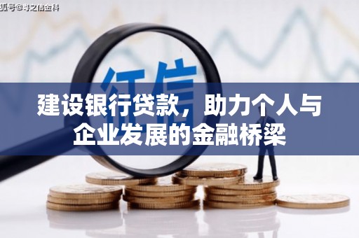 丽水建设银行贷款，助力个人与企业发展的金融桥梁