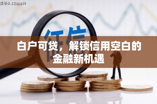 丽水白户可贷，解锁信用空白的金融新机遇