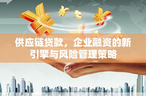丽水供应链贷款，企业融资的新引擎与风险管理策略