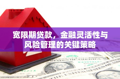 丽水宽限期贷款，金融灵活性与风险管理的关键策略