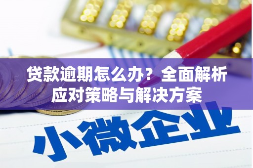 丽水贷款逾期怎么办？全面解析应对策略与解决方案