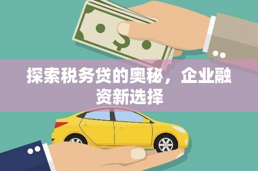 丽水探索税务贷的奥秘，企业融资新选择
