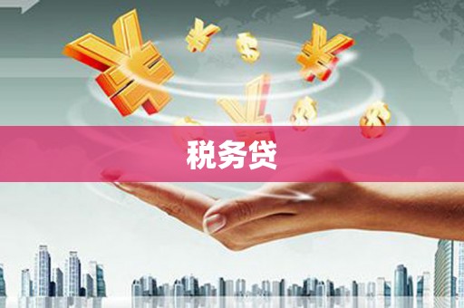 丽水税务贷