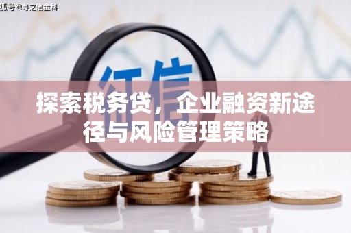丽水探索税务贷，企业融资新途径与风险管理策略
