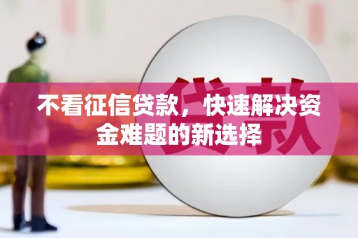 丽水不看征信贷款，快速解决资金难题的新选择
