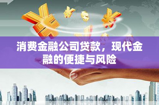丽水消费金融公司贷款，现代金融的便捷与风险