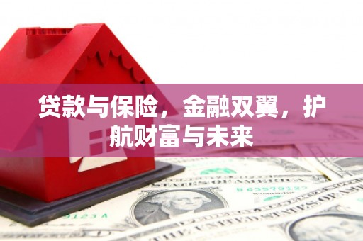 丽水贷款与保险，金融双翼，护航财富与未来