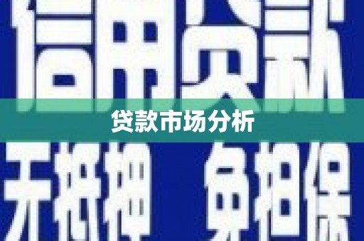 丽水贷款市场分析