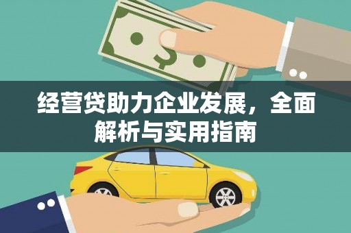 丽水经营贷助力企业发展，全面解析与实用指南