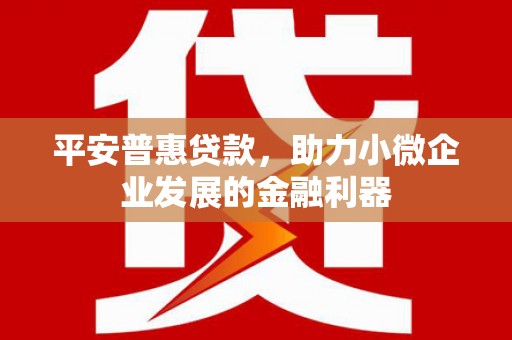 丽水平安普惠贷款，助力小微企业发展的金融利器