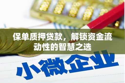 丽水保单质押贷款，解锁资金流动性的智慧之选